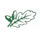 The Mortimer Federation of St.John's and St. Mary's logo